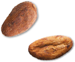 grains-cacao-02