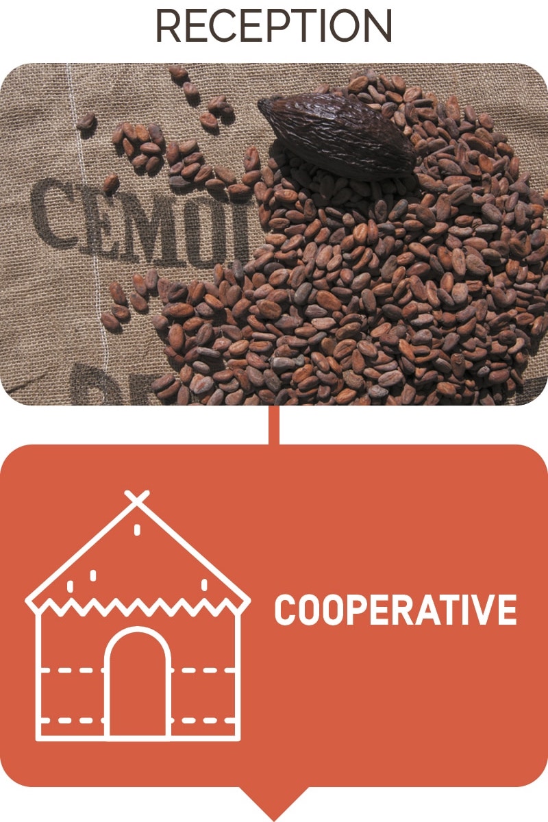 supply_B-cooperative-UK