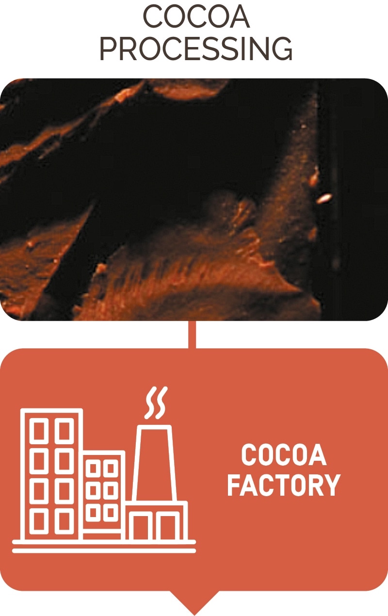 supply_C-cocoa-factory-UK