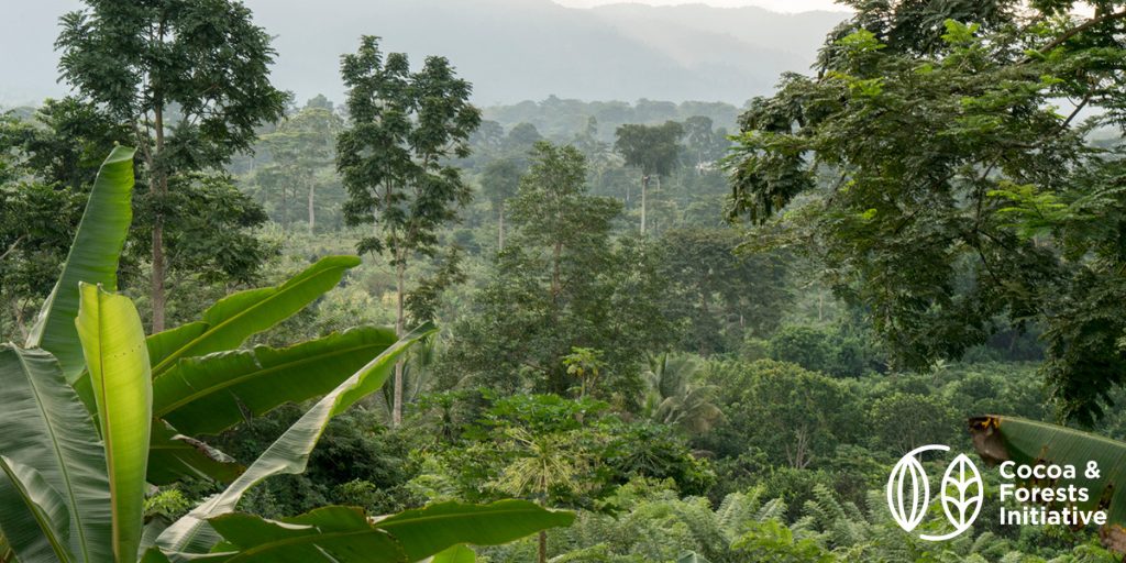 Transparence Cacao publishes his CFI 2020 report. The Cocoa and Forests Initiative: Collective action to stop cocoa-related deforestation