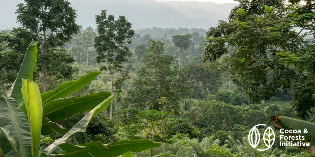 Transparence Cacao renforce son engagement contre la déforestation à travers l’initiative Cacao et Forêt