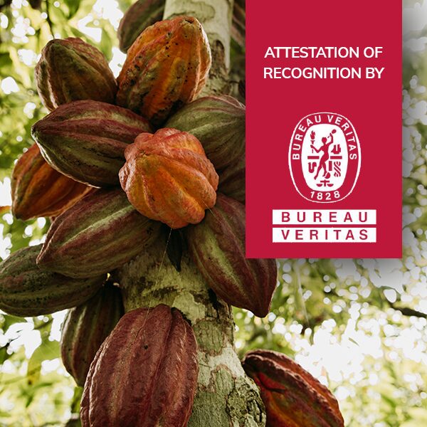Transparence Cacao obtains Bureau Veritas recognition certificate