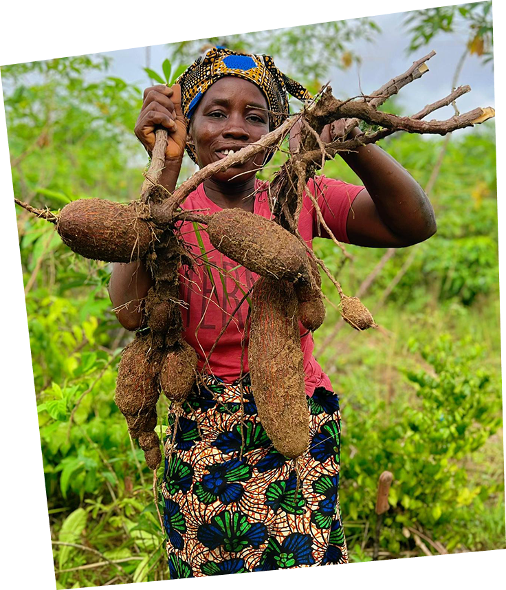 Woman carrying a cassava harvest in Côte d’Ivoire